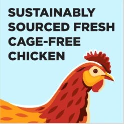 BIXBI Liberty Kitten Health Chicken Recipe Grain-Free Dry Cat Food -Wellness Sales Store 703646 PT3. AC SS1800 V1667863901