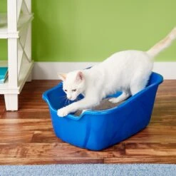 Van Ness High Sides Cat Litter Pan, Blue