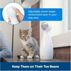 PetSafe Bolt Interactive Laser Cat Toy 12 PetSafe Bolt Interactive Laser Cat Toy -Wellness Sales Store 70843 PT4. AC SS1800 V1676318575