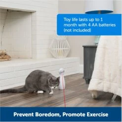 PetSafe Bolt Interactive Laser Cat Toy 13 PetSafe Bolt Interactive Laser Cat Toy -Wellness Sales Store 70843 PT5. AC SS1800 V1676317808