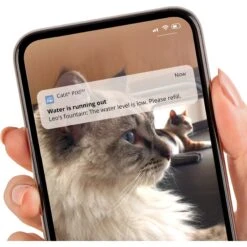 Catit Pixi Smart Stainless Top Cat Fountain Pump -Wellness Sales Store 727662 PT4. AC SS1800 V1669829081