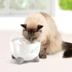 Catit Pixi Smart Stainless Top Cat Fountain Pump -Wellness Sales Store 727662 PT5. AC SS1800 V1669829080