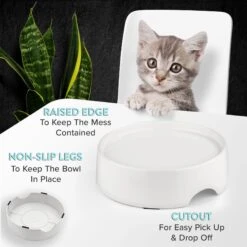 CatGuru Standard Cat & Dog Food Bowl, Marshmallow -Wellness Sales Store 730910 PT3. AC SS1800 V1673016173