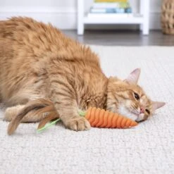 SmartyKat Crazy Carrot Flexible Bat & Chase Cat Toy