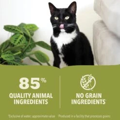 ACANA Chicken + Tuna Recipe In Bone Broth Grain-Free Wet Kitten Food, 3-oz Can, Case Of 24 10 ACANA Chicken + Tuna Recipe In Bone Broth Grain-Free Wet Kitten Food, 3-oz Can, Case Of 24 -Wellness Sales Store 741062 PT4. AC SS1800 V1681755416