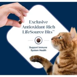 Blue Buffalo Basics Skin & Stomach Care Grain-Free Formula Duck & Potato Indoor Adult Dry Cat Food -Wellness Sales Store 75578 PT6. AC SS1800 V1646281582