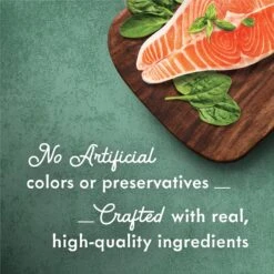 Fancy Feast Medleys Shredded Wild Salmon Fare Canned Cat Food -Wellness Sales Store 75910 PT2. AC SS1800 V1666042928