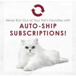 Fancy Feast Medleys Shredded Wild Salmon Fare Canned Cat Food -Wellness Sales Store 75910 PT8. AC SS1800 V1649121986