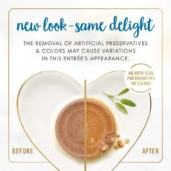 Fancy Feast Chunky Turkey Feast Wet Cat Food -Wellness Sales Store 76067 PT2. AC SS1800 V1694021713