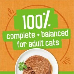 Friskies Classic Pate Liver & Chicken Dinner Canned Cat Food -Wellness Sales Store 76184 PT4. AC SS1800 V1700159540
