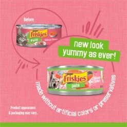 Friskies Pate Salmon Dinner Canned Cat Food -Wellness Sales Store 76196 PT2. AC SS1800 V1700157405