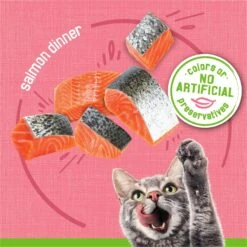 Friskies Pate Salmon Dinner Canned Cat Food -Wellness Sales Store 76196 PT3. AC SS1800 V1700158093