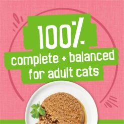 Friskies Pate Salmon Dinner Canned Cat Food -Wellness Sales Store 76196 PT4. AC SS1800 V1700159488