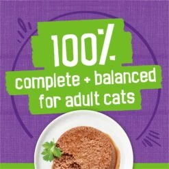 Friskies Classic Pate Turkey & Giblets Dinner Canned Cat Food -Wellness Sales Store 76202 PT4. AC SS1800 V1700158126