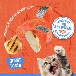 Friskies Savory Shreds Chicken & Salmon Dinner In Gravy Canned Cat Food -Wellness Sales Store 76354 PT3. AC SS1800 V1700157357