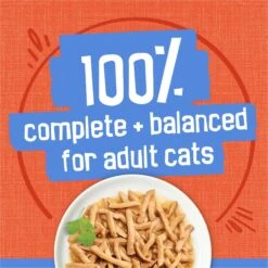 Friskies Savory Shreds Chicken & Salmon Dinner In Gravy Canned Cat Food -Wellness Sales Store 76354 PT5. AC SS1800 V1700158466