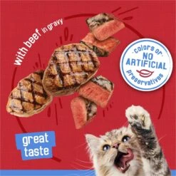 Friskies Savory Shreds With Beef In Gravy Canned Cat Food -Wellness Sales Store 76362 PT3. AC SS1800 V1700161323