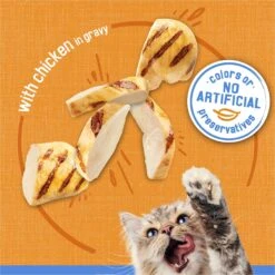 Friskies Savory Shreds With Chicken In Gravy Canned Cat Food -Wellness Sales Store 76364 PT3. AC SS1800 V1700158454