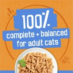 Friskies Savory Shreds With Chicken In Gravy Canned Cat Food -Wellness Sales Store 76364 PT5. AC SS1800 V1699375106