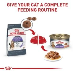 Royal Canin Feline Care Nutrition Appetite Control Care Dry Cat Food -Wellness Sales Store 774182 PT5. AC SS1800 V1676063258