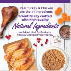 Wellness Complete Health Poultry Favorites Variety Pack Grain-Free Wet Cat Food, 5.5-oz Can, Case Of 12 10 Wellness Complete Health Poultry Favorites Variety Pack Grain-Free Wet Cat Food, 5.5-oz Can, Case Of 12 -Wellness Sales Store 779406 PT2. AC SS1800 V1676653247