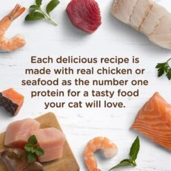 Rachael Ray Nutrish Paw Lickin' Chicken & Liver Recipe Natural Grain-Free Wet Cat Food -Wellness Sales Store 77981 PT3. AC SS1800 V1535579287