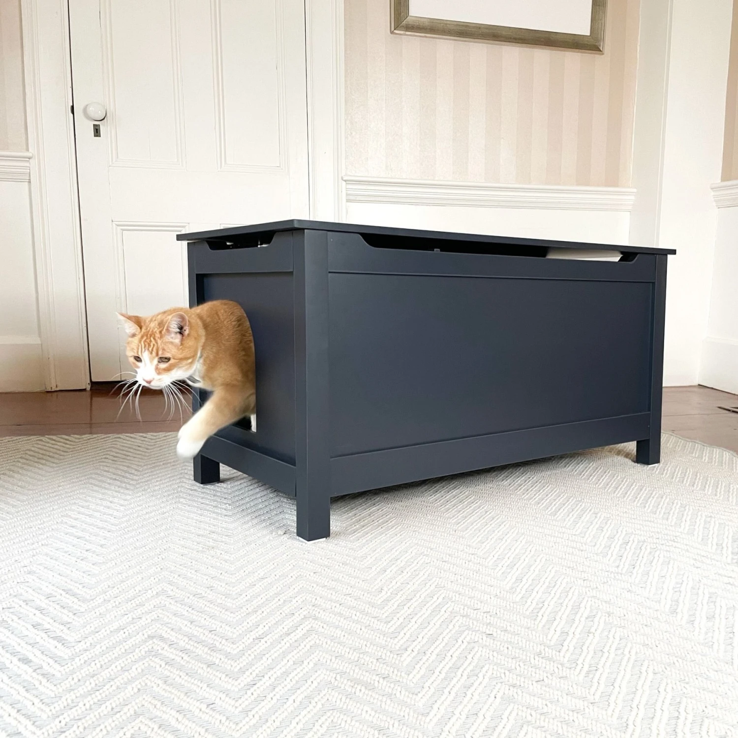 Designer Pet Products Parker Designer Catbox Litter Box Enclosure, Charcoal Black 3 Designer Pet Products Parker Designer Catbox Litter Box Enclosure, Charcoal Black - Image 3