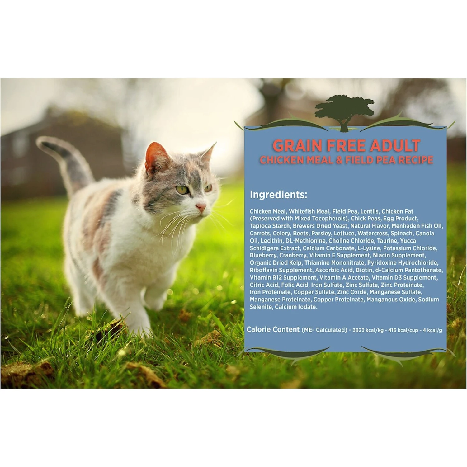 Blackwood Chicken Meal & Field Pea Recipe Grain-Free Dry Cat Food 3 Blackwood Chicken Meal & Field Pea Recipe Grain-Free Dry Cat Food - Image 3