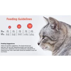 Blackwood Chicken Meal & Field Pea Recipe Grain-Free Dry Cat Food 11 Blackwood Chicken Meal & Field Pea Recipe Grain-Free Dry Cat Food -Wellness Sales Store 79100 PT4. AC SS1800 V1550528544