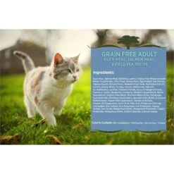 Blackwood Duck Meal, Salmon Meal & Field Pea Grain-Free Dry Cat Food 9 Blackwood Duck Meal, Salmon Meal & Field Pea Grain-Free Dry Cat Food -Wellness Sales Store 79103 PT2. AC SS1800 V1550528548