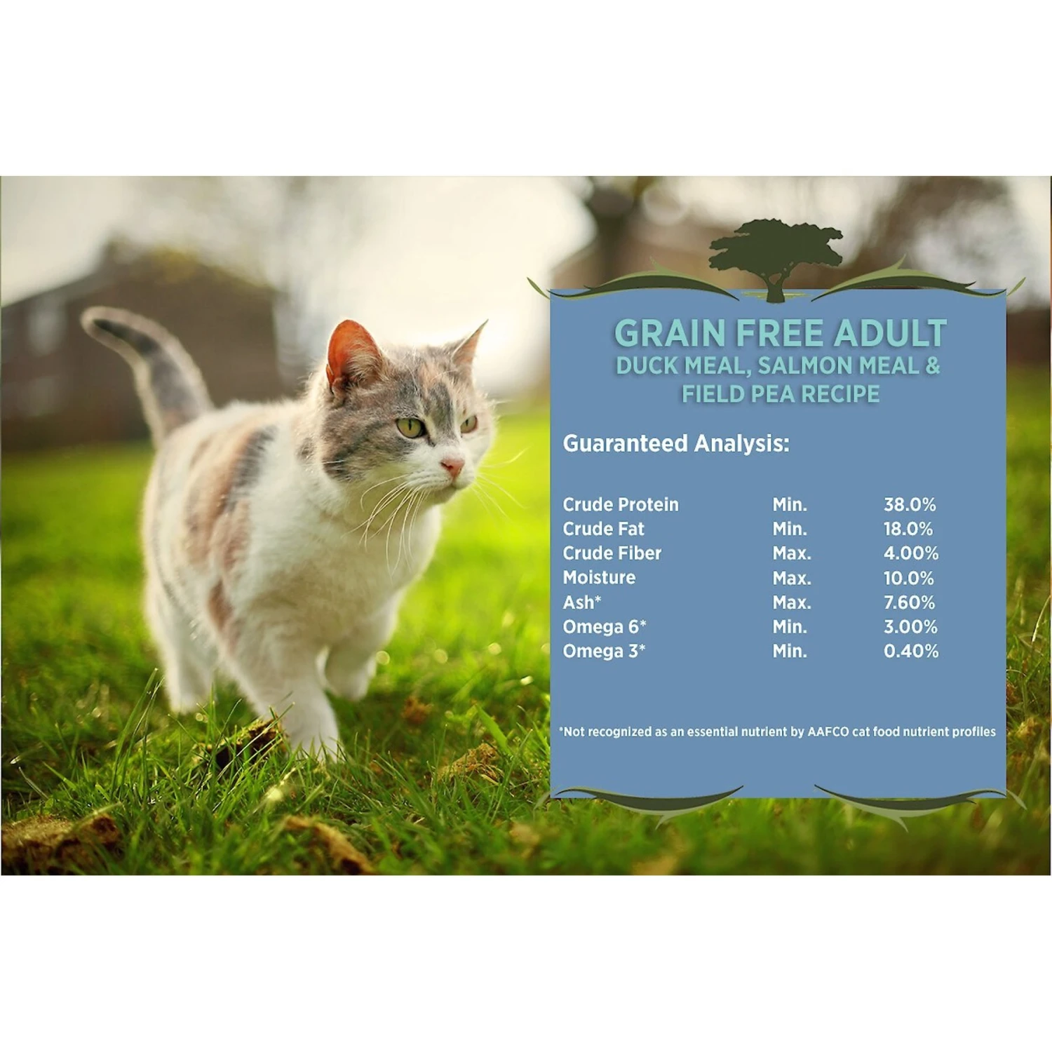 Blackwood Duck Meal, Salmon Meal & Field Pea Grain-Free Dry Cat Food 4 Blackwood Duck Meal, Salmon Meal & Field Pea Grain-Free Dry Cat Food - Image 4