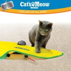 Cat's Meow Motorized Chaser Cat Toy -Wellness Sales Store 804382 PT6. AC SS1800 V1678741860
