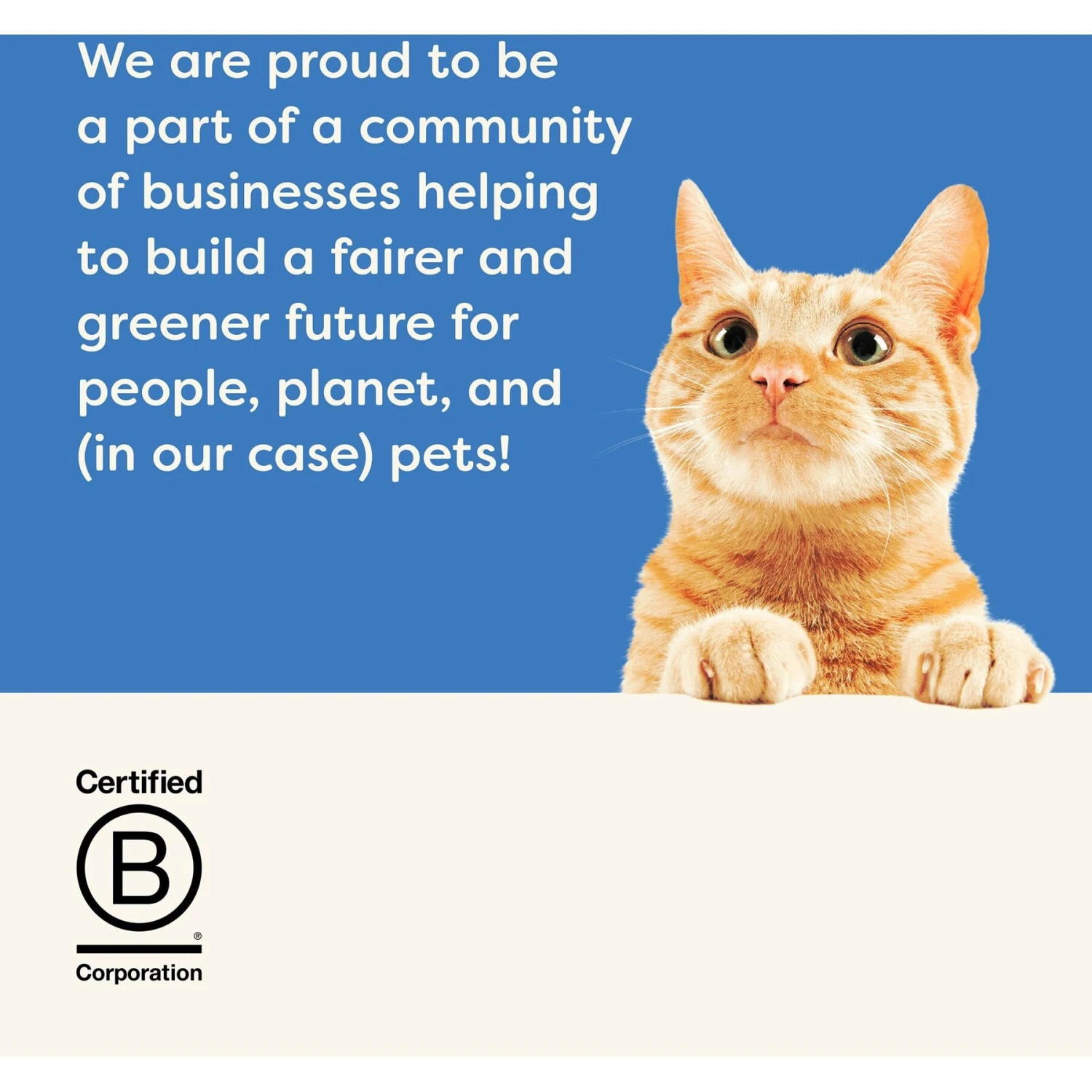 Applaws Tuna In Broth Limited Ingredient Wet Cat Food, 2.47-oz Pouch, Case Of 12 7 Applaws Tuna In Broth Limited Ingredient Wet Cat Food, 2.47-oz Pouch, Case Of 12 - Image 7