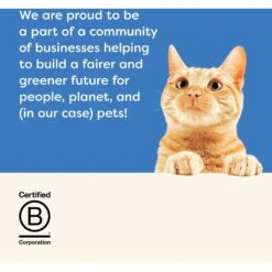 Applaws Variety Of Fish Flavors In Broth Limited Ingredient Wet Cat Food 13 Applaws Variety Of Fish Flavors In Broth Limited Ingredient Wet Cat Food -Wellness Sales Store 836614 PT6. AC SS1800 V1687881322