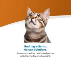 Farmina Vet Life Recoup Recipe Wet Cat Food, 3-oz Can, Case Of 12 -Wellness Sales Store 838182 PT3. AC SS1800 V1703880350
