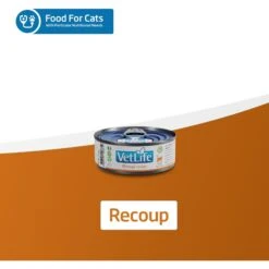 Farmina Vet Life Recoup Recipe Wet Cat Food, 3-oz Can, Case Of 12 -Wellness Sales Store 838182 PT6. AC SS1800 V1703880350