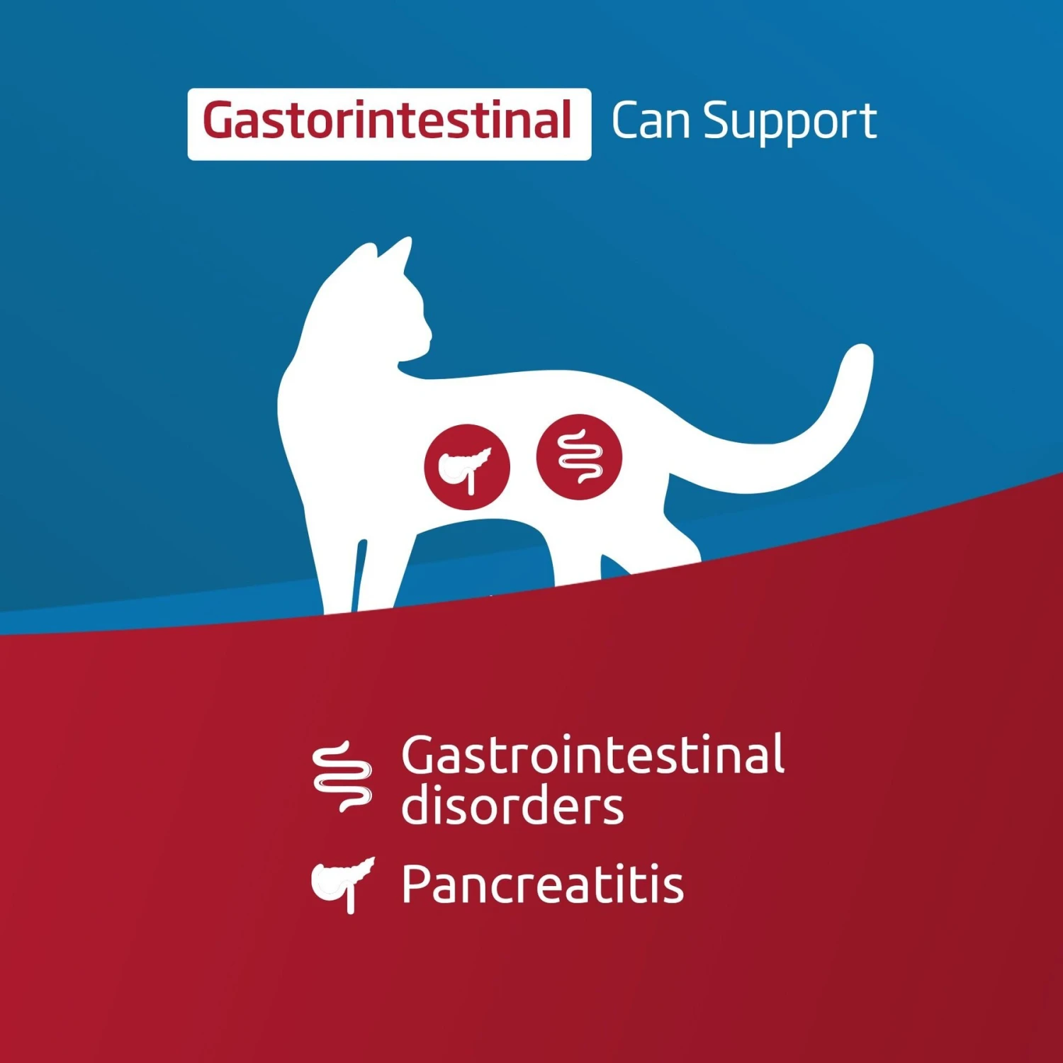 Farmina Vet Life Cat Gastrointestinal Recipe Wet Cat Food 2 Farmina Vet Life Cat Gastrointestinal Recipe Wet Cat Food - Image 2