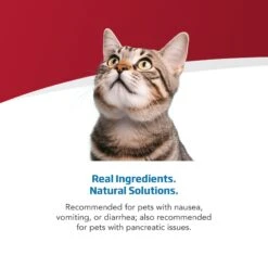 Farmina Vet Life Cat Gastrointestinal Recipe Wet Cat Food 10 Farmina Vet Life Cat Gastrointestinal Recipe Wet Cat Food -Wellness Sales Store 838198 PT3. AC SS1800 V1703880289