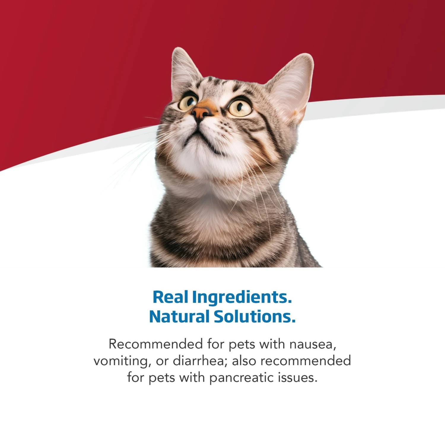 Farmina Vet Life Cat Gastrointestinal Recipe Wet Cat Food 4 Farmina Vet Life Cat Gastrointestinal Recipe Wet Cat Food - Image 4