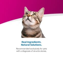 Farmina Vet Life Cat Urinary St/Control Recipe In Gravy Wet Cat Food -Wellness Sales Store 838230 PT3. AC SS1800 V1703880290
