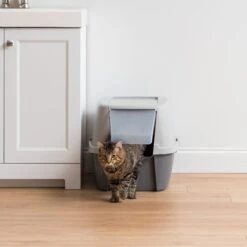 IRIS USA Enclosed Cat Litter Box With Front Door Flap & Scoop, Gray, Jumbo -Wellness Sales Store 846614 PT2. AC SS1800 V1683834899