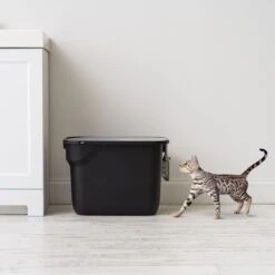 IRIS USA Square Top Entry Cat Litter Box With Scoop, Large -Wellness Sales Store 846630 PT2. AC SS1800 V1683835901