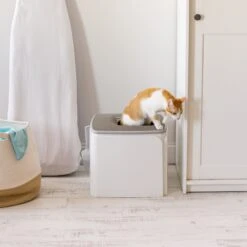 IRIS USA Premium Square Top Entry Cat Litter Box With Scoop, White & Gray, Large -Wellness Sales Store 846654 PT6. AC SS1800 V1683834958