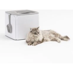 IRIS USA Premium Square Top Entry Cat Litter Box With Scoop, White & Gray, Large -Wellness Sales Store 846654 PT8. AC SS1800 V1683211470