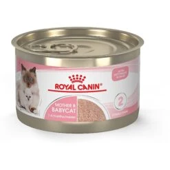 Royal Canin Feline Health Nutrition Mother & Babycat Dry Cat Food & Royal Canin Feline Health Nutrition Mother & Babycat Ultra Soft Mousse In Sauce Canned Cat Food 14 Royal Canin Feline Health Nutrition Mother & Babycat Dry Cat Food & Royal Canin Feline Health Nutrition Mother & Babycat Ultra Soft Mousse In Sauce Canned Cat Food -Wellness Sales Store 854358 PT5. AC SS1800 V1683744315
