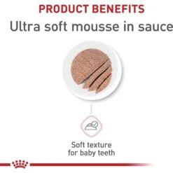 Royal Canin Feline Health Nutrition Mother & Babycat Dry Cat Food & Royal Canin Feline Health Nutrition Mother & Babycat Ultra Soft Mousse In Sauce Canned Cat Food 17 Royal Canin Feline Health Nutrition Mother & Babycat Dry Cat Food & Royal Canin Feline Health Nutrition Mother & Babycat Ultra Soft Mousse In Sauce Canned Cat Food -Wellness Sales Store 854358 PT8. AC SS1800 V1683744208