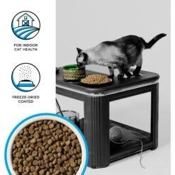 BIXBI Rawbble Dry Food Chicken Salmon Recipe For Indoor Cats, 10-lb Bag -Wellness Sales Store 870982 PT2. AC SS1800 V1691515544