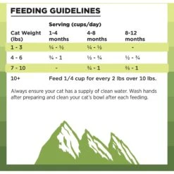 BIXBI Rawbble Dry Food Chicken Recipe For Kittens, 2.5-lb Bag -Wellness Sales Store 871030 PT7. AC SS1800 V1691515657