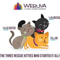 Weruva Cats In The Kitchen Word From The Bird! Variety Pack Grain-Free Wet Cat Food, 3.2-oz Can, Case Of 12 16 Weruva Cats In The Kitchen Word From The Bird! Variety Pack Grain-Free Wet Cat Food, 3.2-oz Can, Case Of 12 -Wellness Sales Store 875406 PT7. AC SS1800 V1702597763