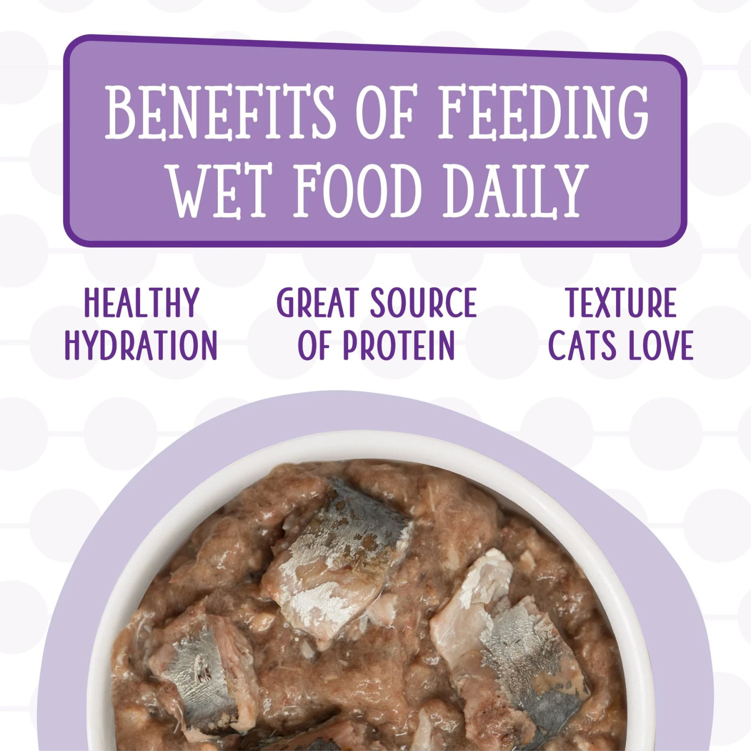 Weruva Cats In The Kitchen The Coolsville Catch! Variety Pack Grain-Free Wet Cat Food, 3.2-oz Can, Case Of 12 7 Weruva Cats In The Kitchen The Coolsville Catch! Variety Pack Grain-Free Wet Cat Food, 3.2-oz Can, Case Of 12 - Image 7